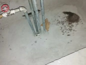 玉溪卫生间测漏水价格明细